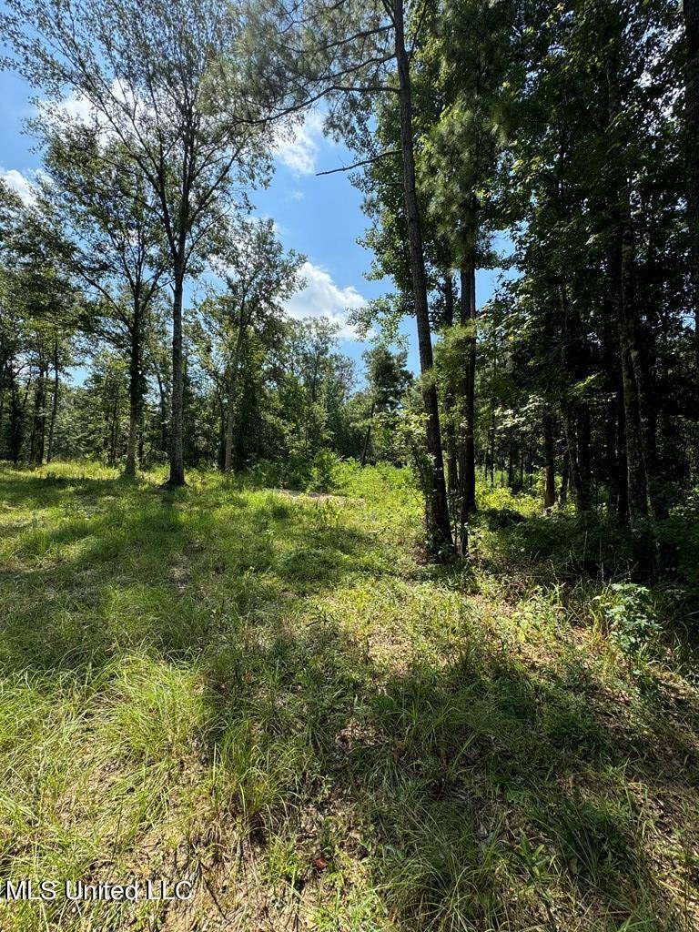 Ethel, LA 70730,7826 Pipes Lane Lane