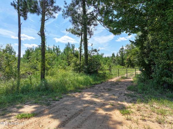 30 Highway 11, Petal, MS 39465