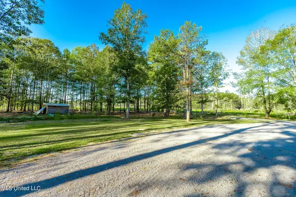 Sumrall, MS 39482,2 Canty Rayborn Road