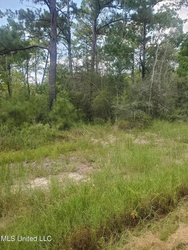 Dove Street Lot 81 & 82, Bay Saint Louis, MS 39520