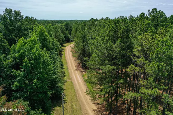 Aberdeen, MS 39730,Grubb Springs Road