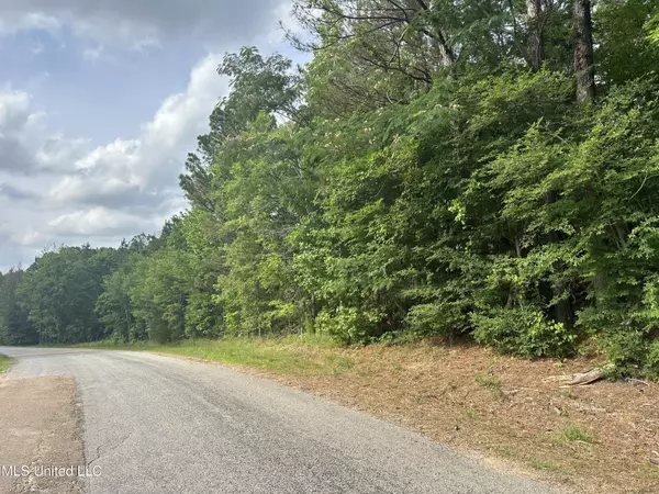 0 Gore Springs Road, Gore Springs, MS 38929