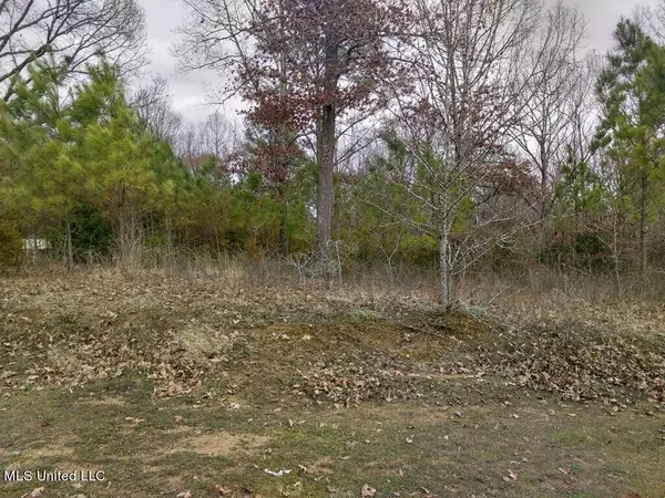 Byhalia, MS 38611,Strickland Cove