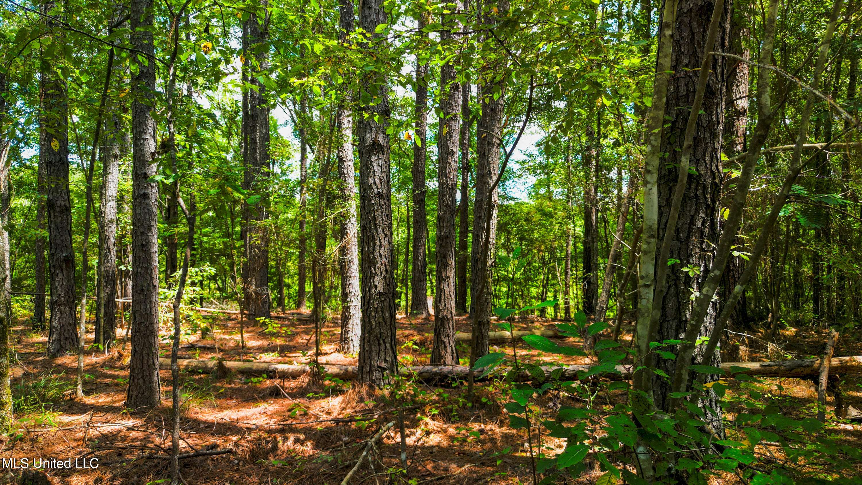 Lumberton, MS 39455,Nhn Holiday Drive