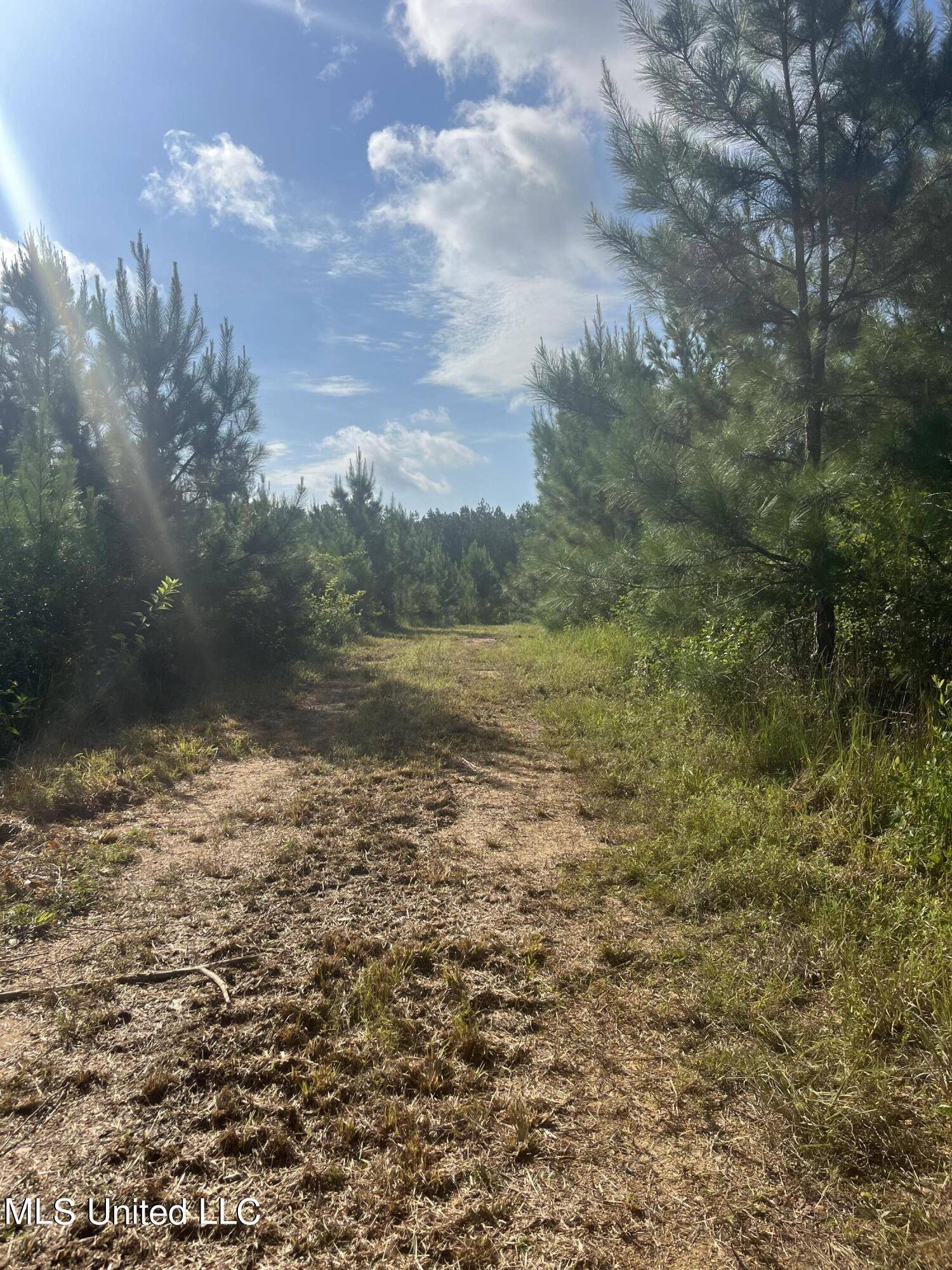 Magnolia, MS 39652,Nolan Felder Road