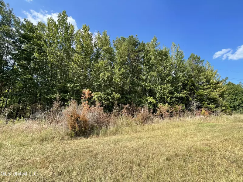 72 Hwy 72, Falkner, MS 38629