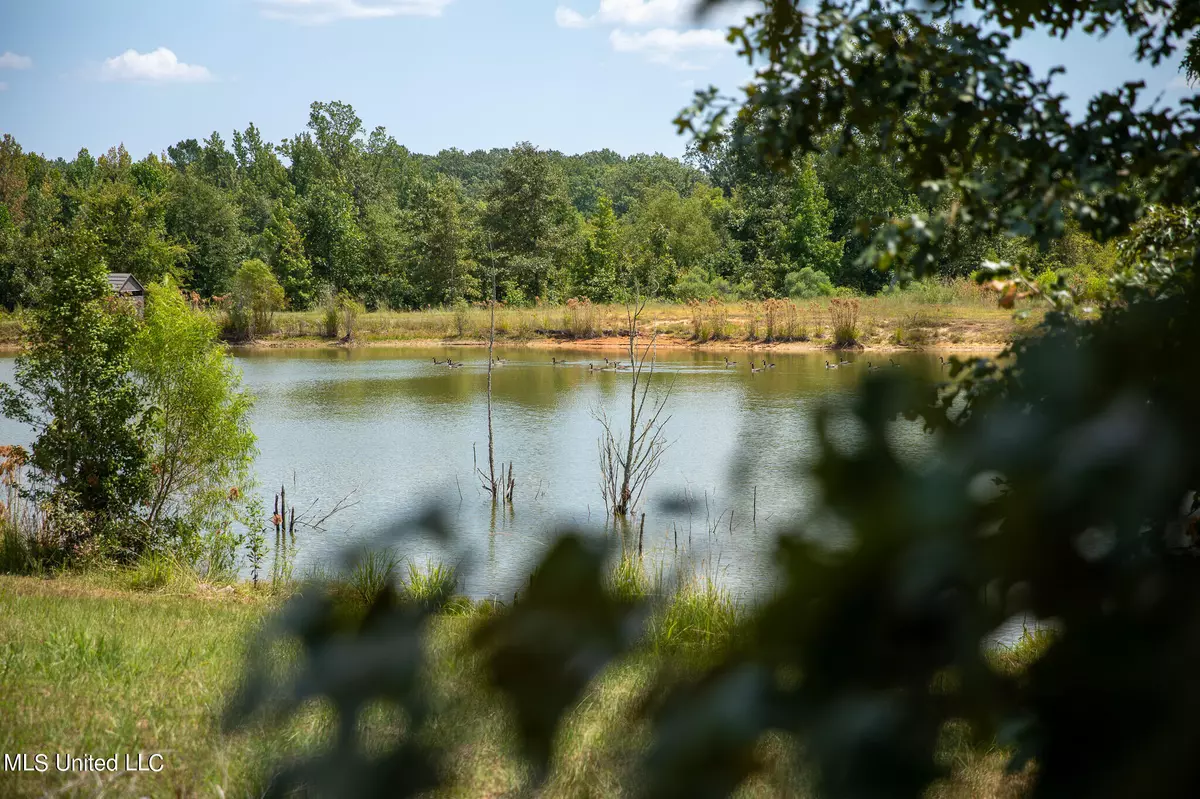 Eupora, MS 39744,S South Union Road