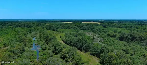 Cotton Loop, Sledge, MS 38670