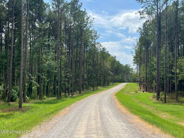 Springwood Trail, Flora, MS 39071