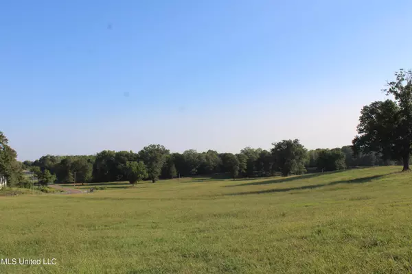 Byhalia, MS 38611,460 Myers Road