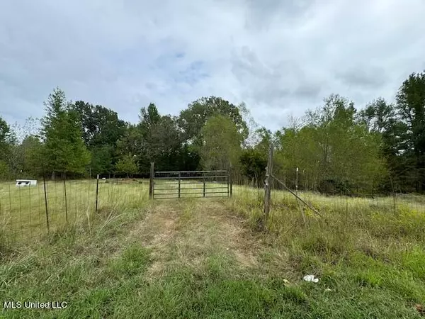 Shamrock Loop, Byhalia, MS 38611