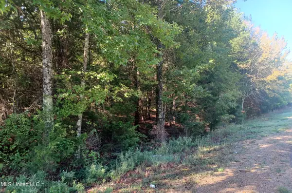 Wall Hill Rd., Byhalia, MS 38611