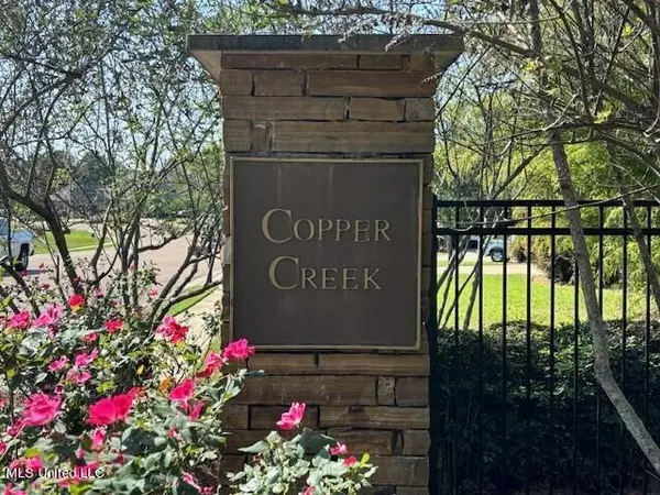 230 Copper Creek Drive Drive, Clinton, MS 39056