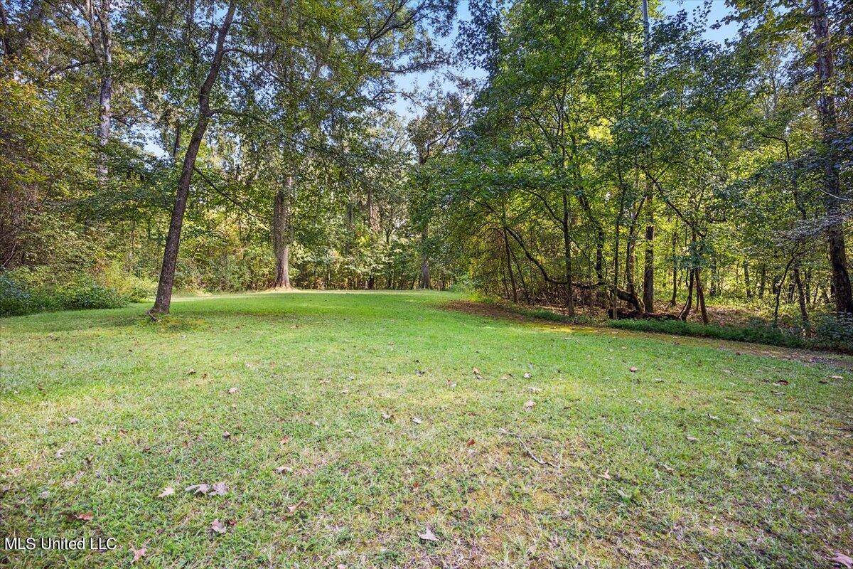 Madison, MS 39110,Noah'S Mill Road