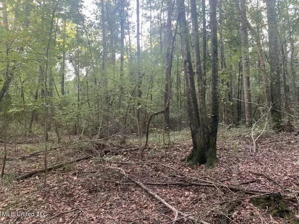 Mendenhall, MS 39114,0 Dry Creek Rd