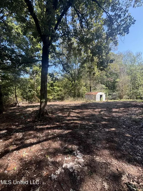 Byhalia, MS 38611,453 Scenic Drive