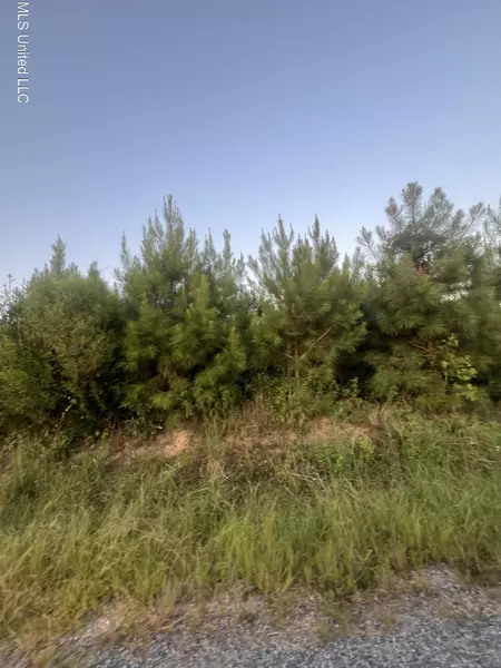 Leming Road, Braxton, MS 39044