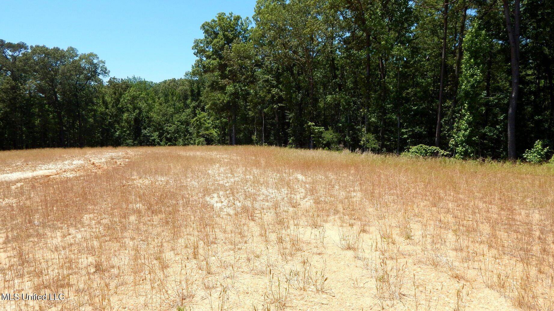 204 Hugh White State Park Road, Grenada, MS 38901