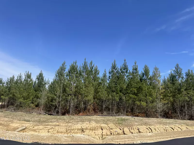 762 Freedom Ridge Lane, Brandon, MS 39047