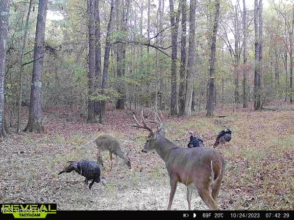 Lexington, MS 39095,2 Hebron Road