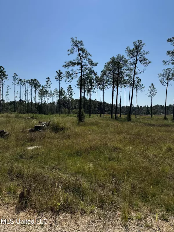 Vancleave, MS 39565,0 Dantzler Road