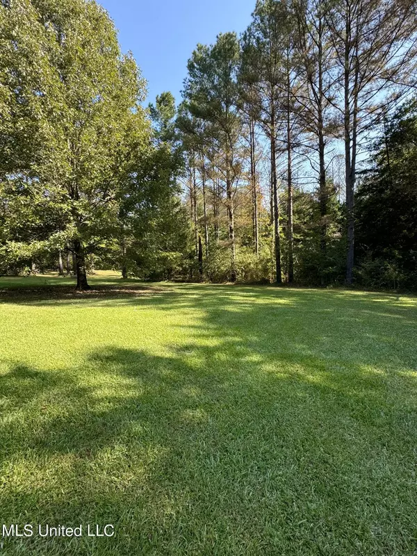 Flora, MS 39071,111 Horseshoe Lane Lane