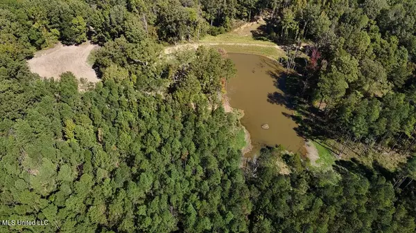 Bentonia, MS 39040,1 Anding Oil City Road