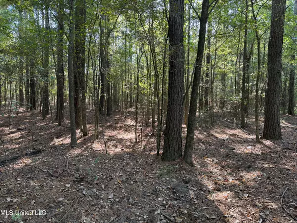 Canton, MS 39046,Deerwood Crossing