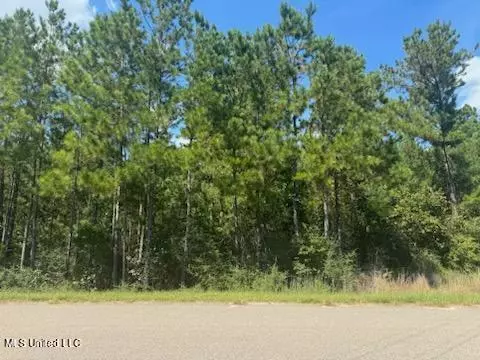 Clear Lake - Lot 5 Road, Perkinston, MS 39573