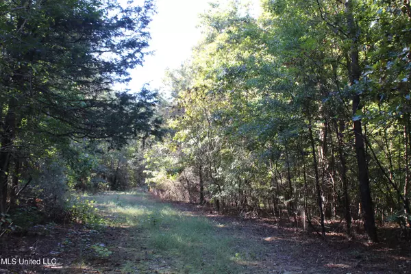 1505 Lower Gurley Road, Potts Camp, MS 38659