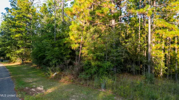 Hattiesburg, MS 39402,16 Windstone Street