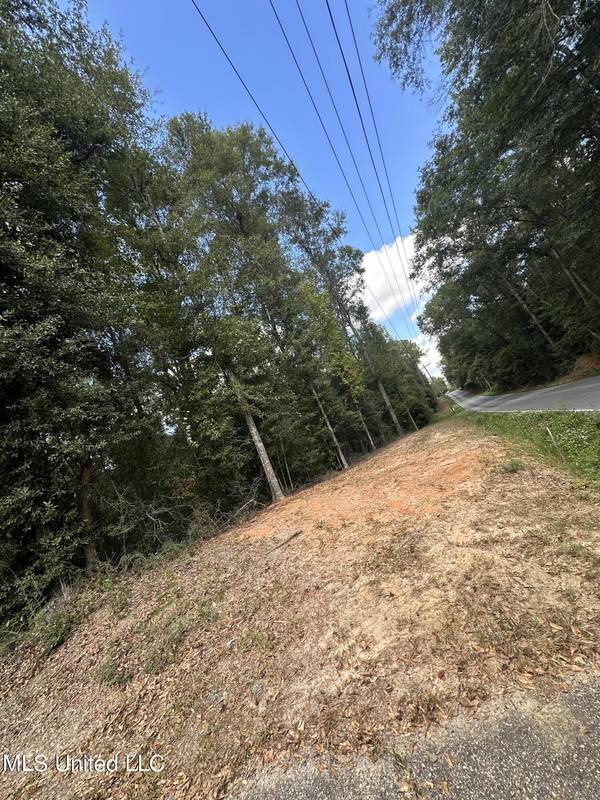 Twin Creek Road Road, Lucedale, MS 39452