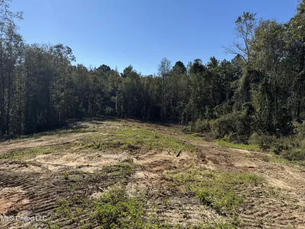 Brookhaven, MS 39601,332 SW Cripple Lane Lane