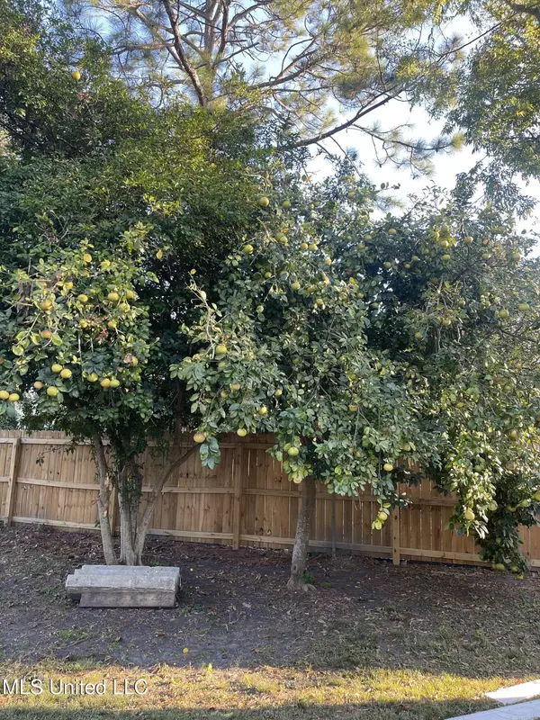 Biloxi, MS 39530,226 Reynoir Street