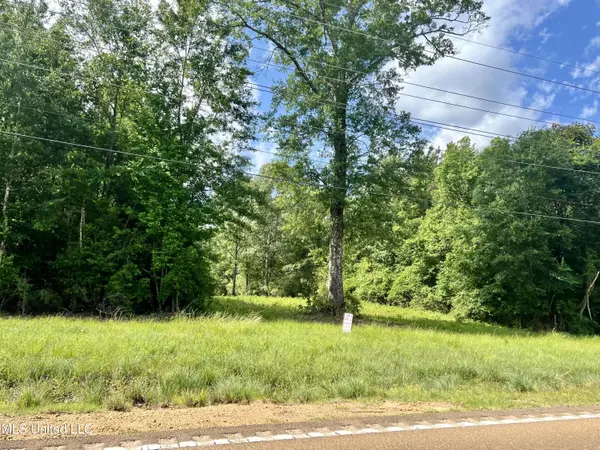 Lot 2 Hwy 24, Centreville, MS 39631