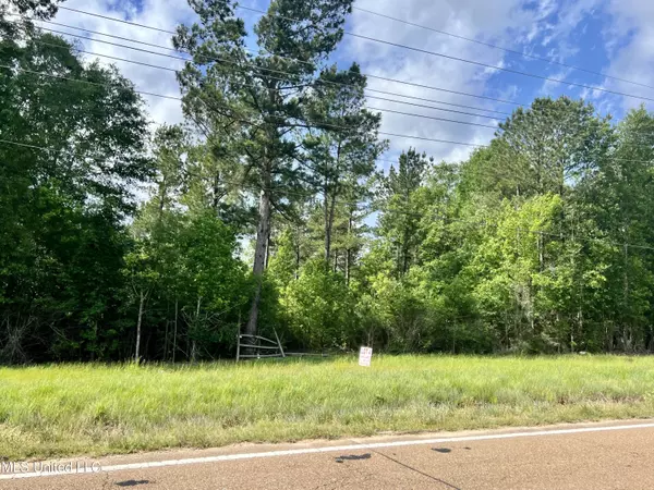 Lot 4 Hwy 24, Centreville, MS 39631