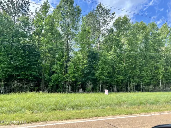 Lot 8 Hwy 24, Centreville, MS 39631