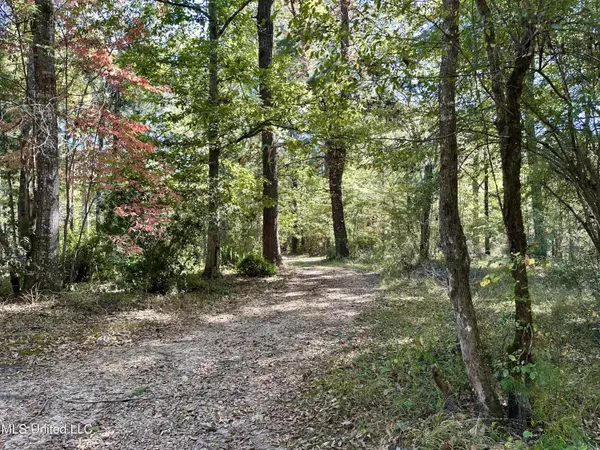 Summit, MS 39666,2089 Alford Bridge Rd