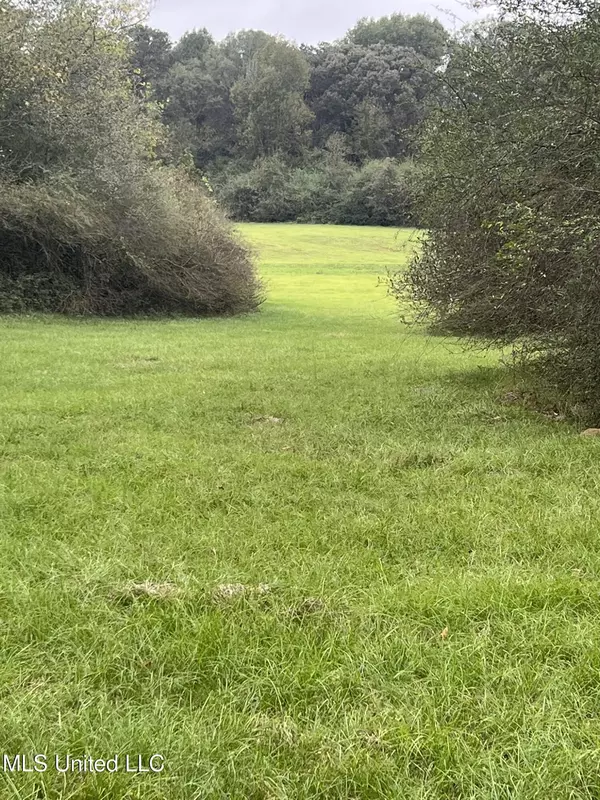 Forest, MS 39074,Old Jackson Road Road