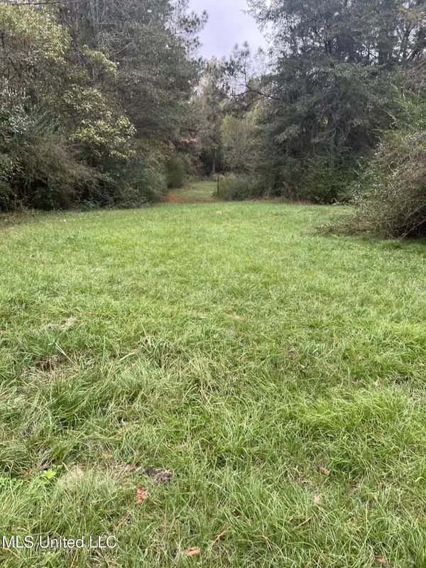 Forest, MS 39074,Old Jackson Road Road