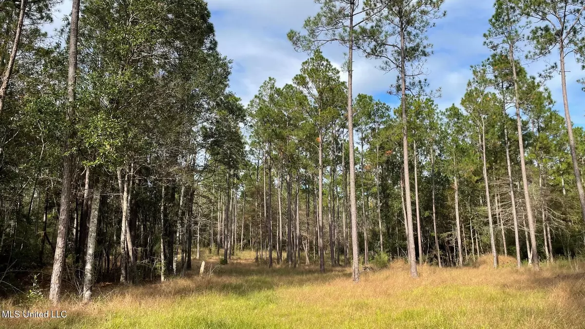 Saucier, MS 39574,Bethel Road