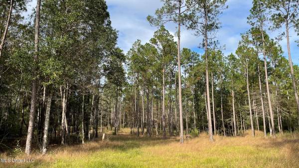 Bethel Road, Saucier, MS 39574