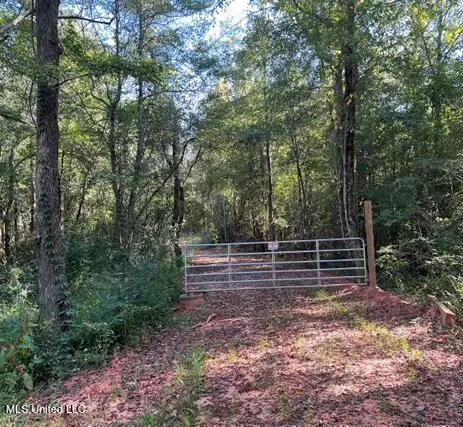 Bolen Long Creek Rd Road, Meridian, MS 39301