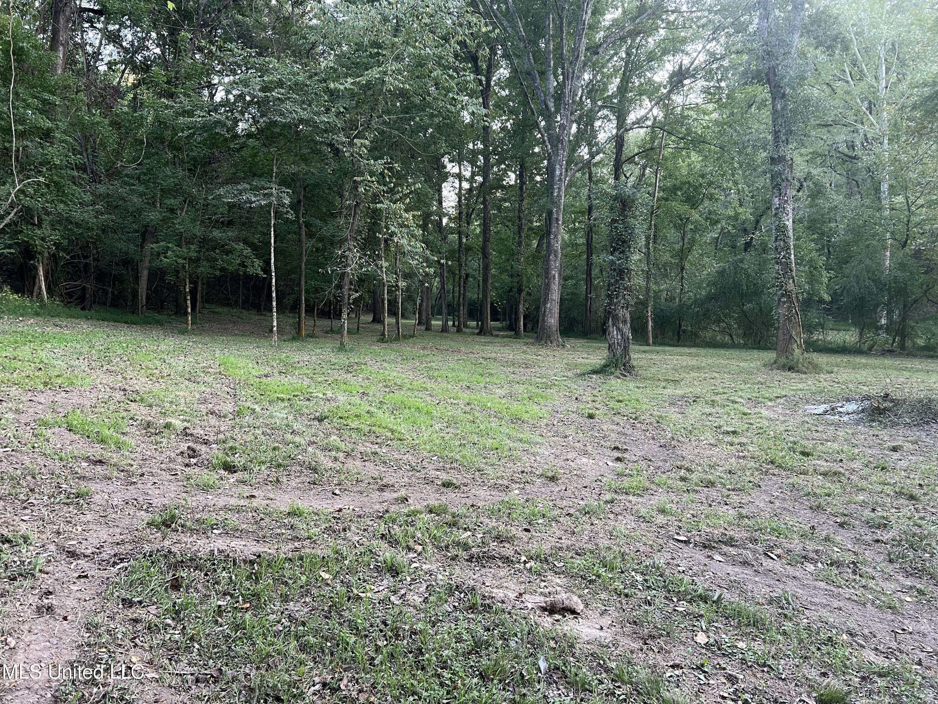 Vicksburg, MS 39180,Fox Run Lane