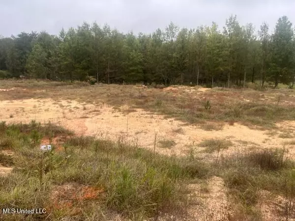 Stringer, MS 39481,450 County Road 155