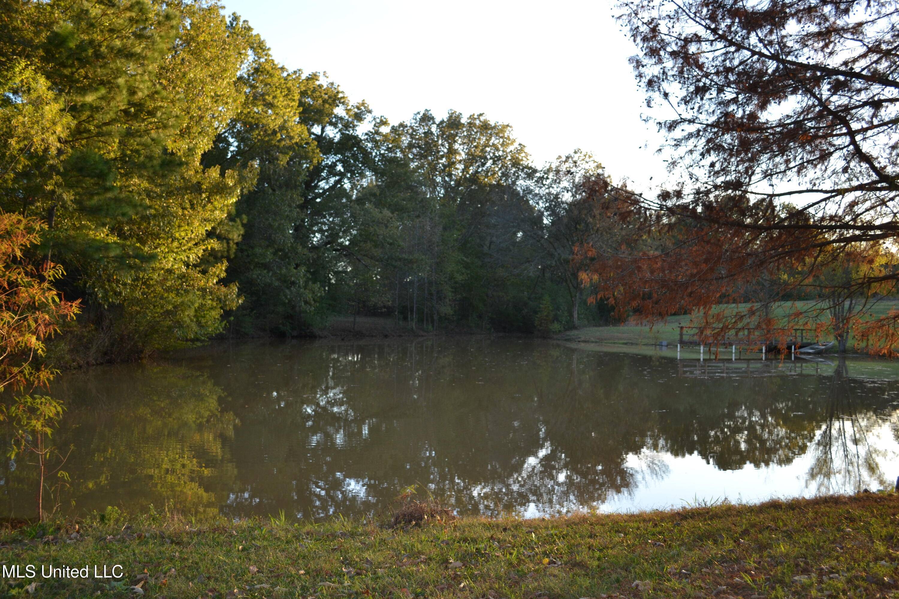 Hernando, MS 38632,3513 S Hwy 305