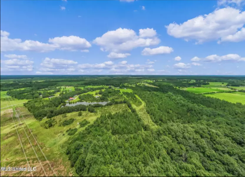 14 Acres Wendell Ladner Road, Perkinston, MS 39573