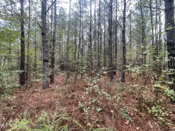 De Kalb, MS 39328,0 Kellis Store Rd