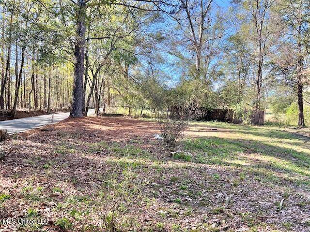 Florence, MS 39073,156 Foster Road