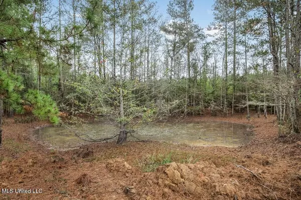 Ruth, MS 39662,3163 SE Reeves Road